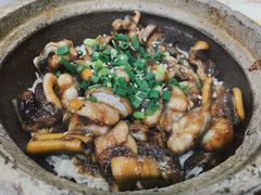-红星光发煲仔饭(大石街店)