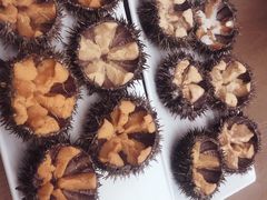 -海胆小馆(东北水饺·春柳店)