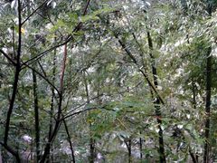 -藏龙百瀑风景区