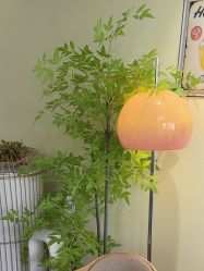 -变美丽半永久纹眉连锁·机器野生眉•洗眉