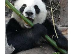 -泉州海丝野生动物世界