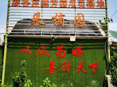 -庞各庄翠芳园西瓜蔬菜基地采摘园