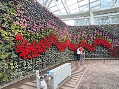 -石家庄市植物园