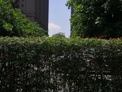 -成都凯宾斯基饭店