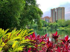 -晓港公园