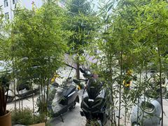-明月土菜馆(老城区店)