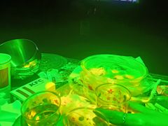 -INLOVE KTV(水晶城店)