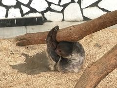-海合安武汉极地海洋公园