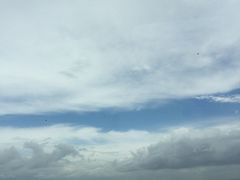 -大湾区中央湿地公园-十九涌