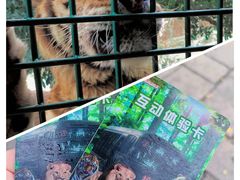 -深圳野生动物园