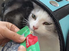 -pd派德宠物中心医院24H急重症·眼科中心·血液透析中心(嵩山北路店)