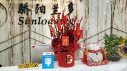 -骄阳兰多产后修复(徐东旗舰店)