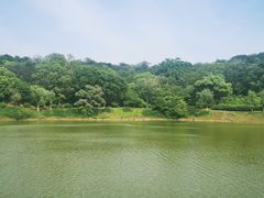 -宜兴龙背山森林公园