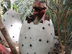 -呀路古热带植物园