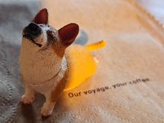 -VOYAGE COFFEE(北锣鼓巷店)
