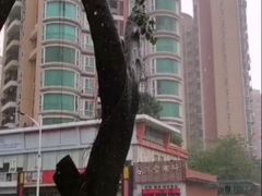 -万达广场(东莞厚街店)