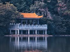 -深圳仙湖植物园