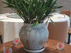 -名人名家     浙菜.家宴