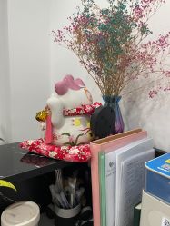 -凡碧诗毛孔收细
