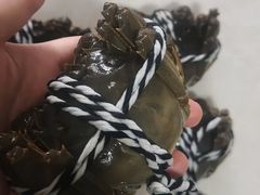 -七的湖·晚芳亭·阳澄湖农家菜·大闸蟹(莲花岛店)