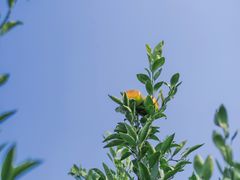-上海滨江森林公园