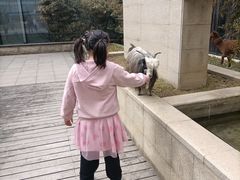 -廊坊固安福朋喜来登酒店