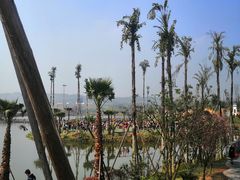 -枫香湖儿童公园