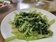 -洞背山庄(洞背院区式管理小区店)