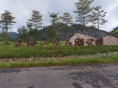 -水濂山森林公园