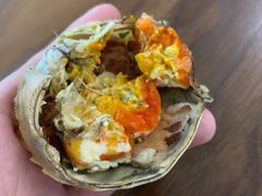 公蟹-七的湖·晚芳亭·阳澄湖农家菜·大闸蟹(莲花岛店)