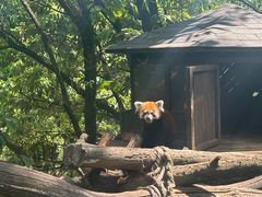 -昆明植物园