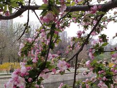 -元大都城垣遗址公园