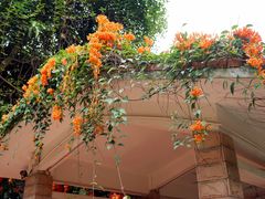-云溪植物园