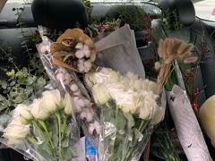 -三圣花乡旅游区