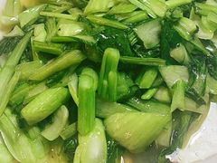炒青菜-陈生记黑鱼馆·20年活鱼现杀(宁波鼓楼店)