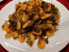 梅干菜油爆虾-老吉士酒家(天平路店)