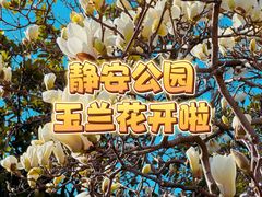 -静安公园(静安寺街道)