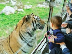 -西安秦岭野生动物园