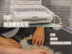 -伟伟宠物医院·CT影像中心·瑞派犬猫综合性门诊(汉口总院)