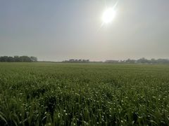 -中国天府农业博览园