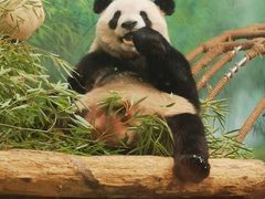 -杭州动物园