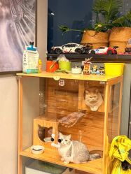 -極致刺青TATTOO STUDIO 私人订制