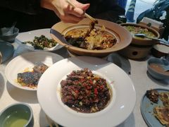 -洞庭家宴·头牌甲鱼(广渠门店)