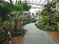 -南宫五洲植物乐园