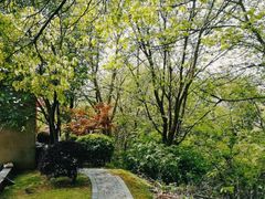 -敬亭山风景名胜区