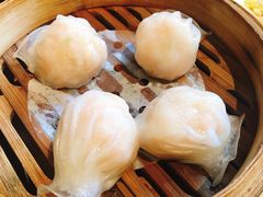 晶莹虾饺皇-颐和•海鲜砂锅粥•啫啫煲(奥林匹克广场店)