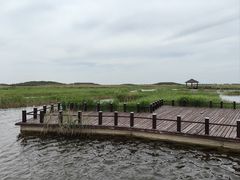 -南大港湿地风景区