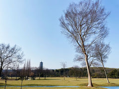 -宜兴龙背山森林公园