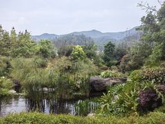 -腾冲洞山温泉村