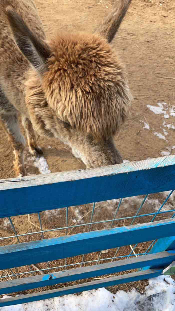 鞍山動物園-